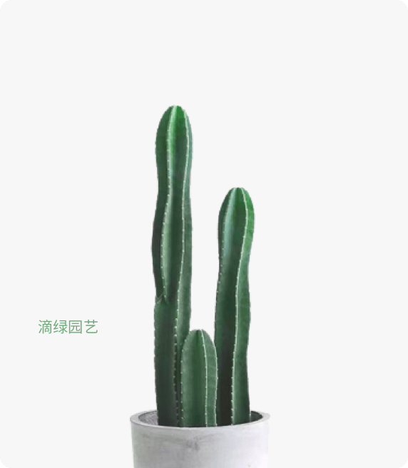 量天尺