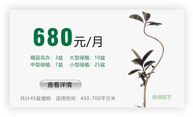 绿植套餐