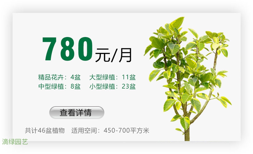 绿植套餐