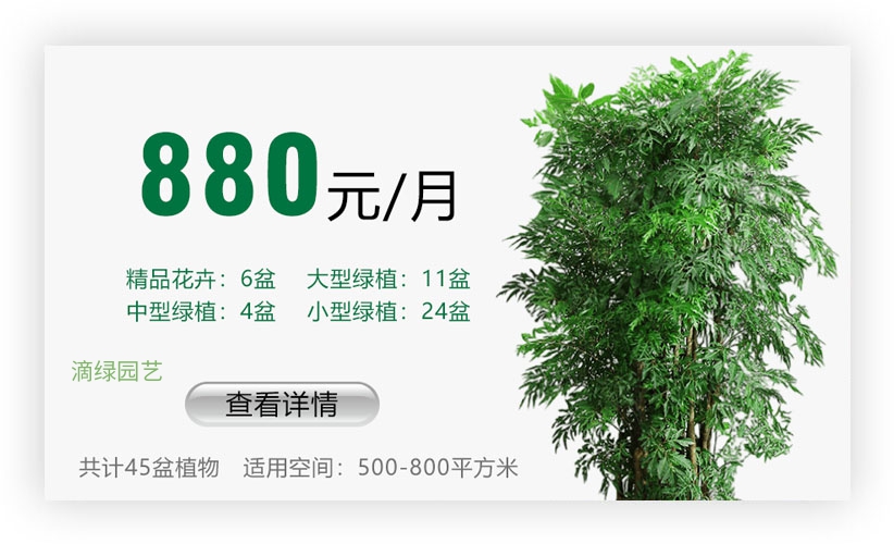 绿植套餐