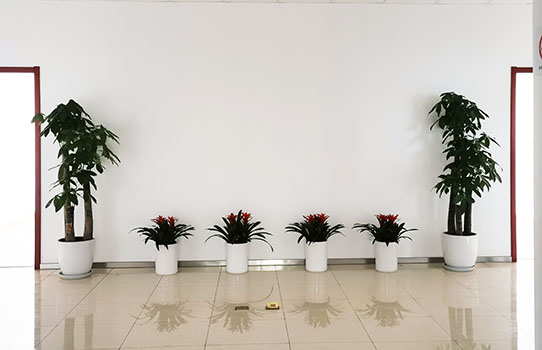 绿植租摆