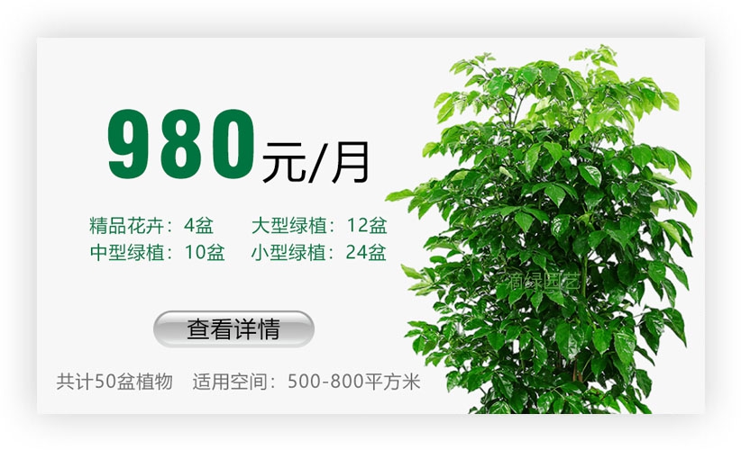 绿植套餐