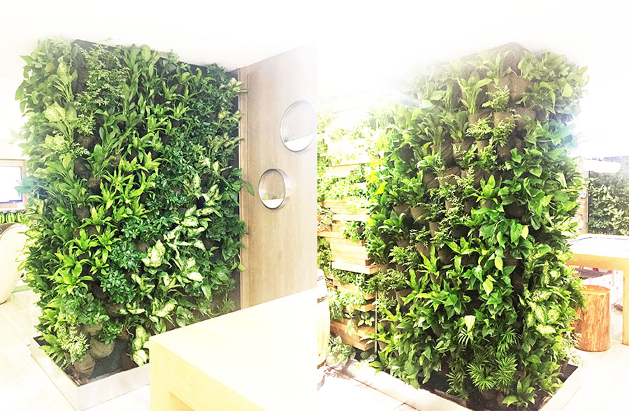 海通绿植租摆