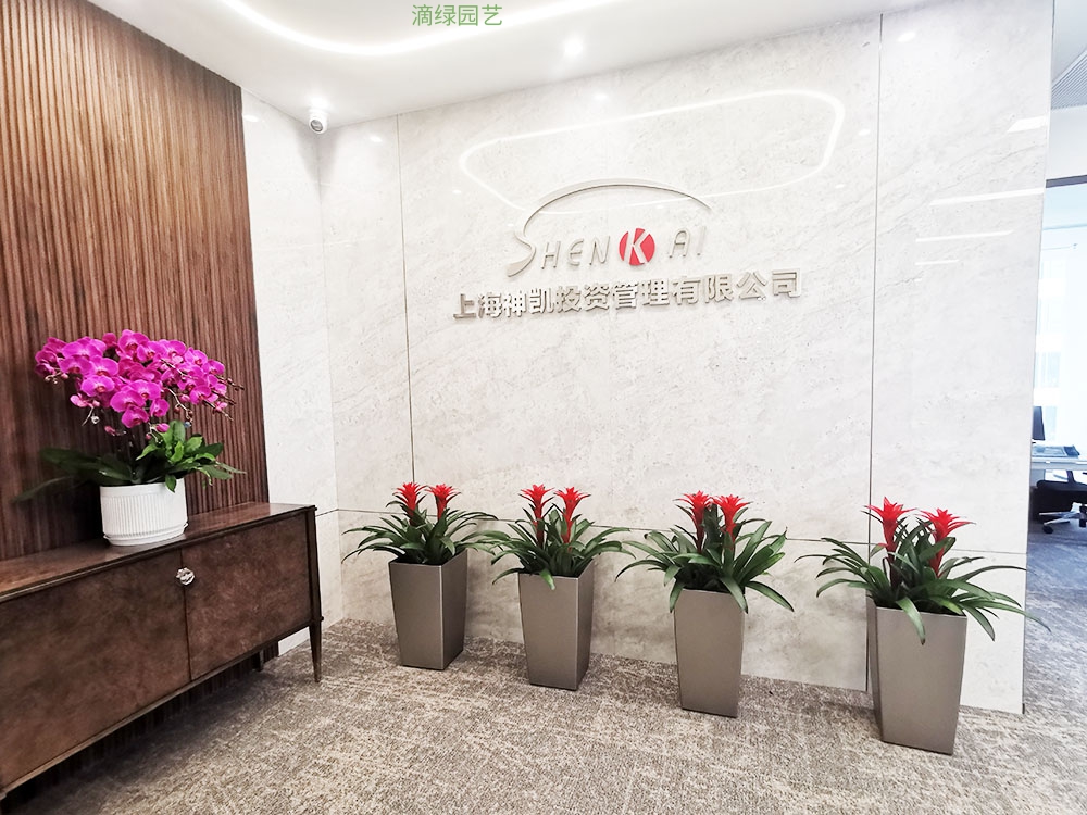 神凯投资绿植租摆