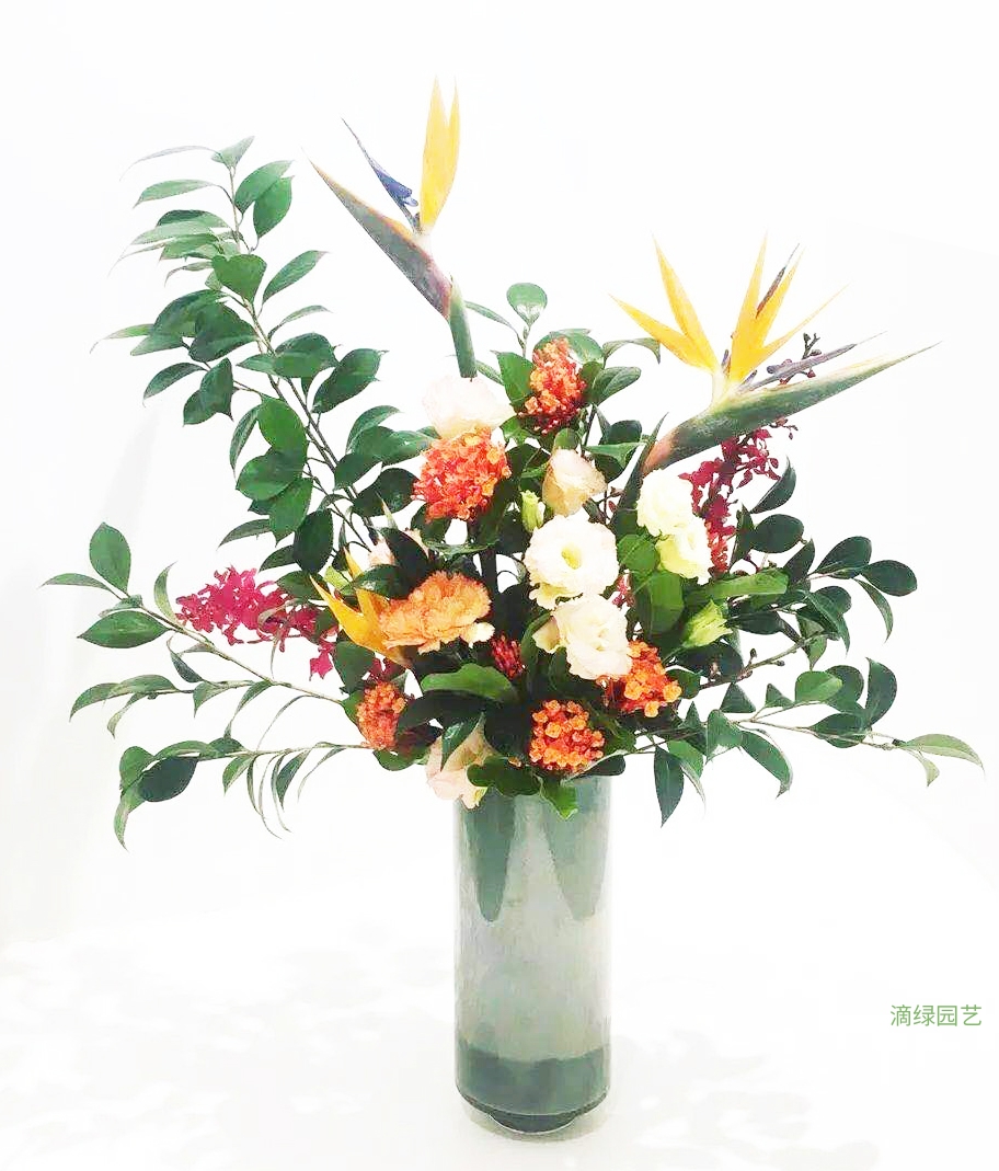 插花 天堂鸟花 芍药等