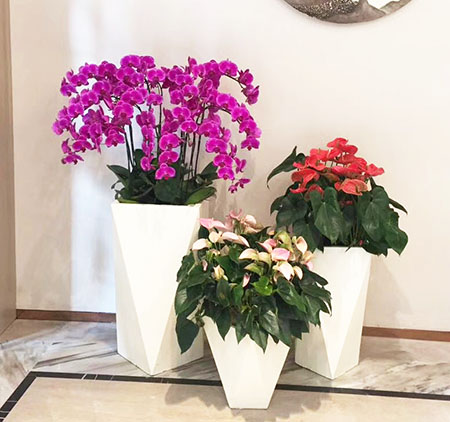 塑钢自吸水花盆
