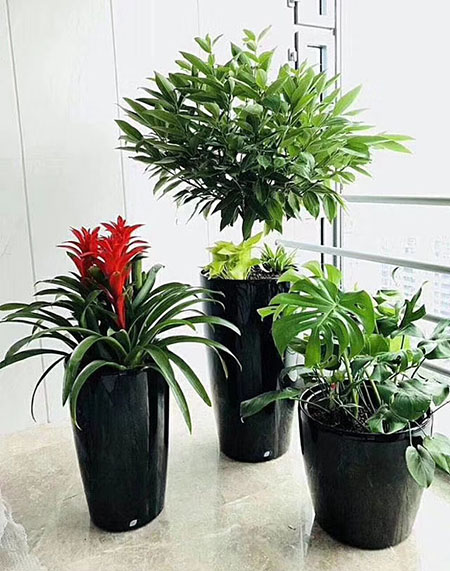 塑钢花盆