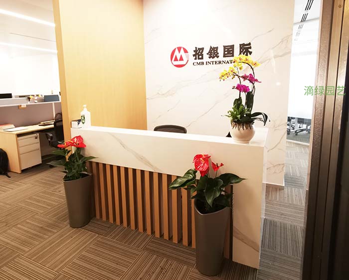 香港招银国际上海新办公室
