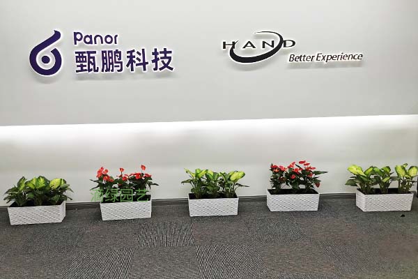 甄鹏科技办公室绿植
