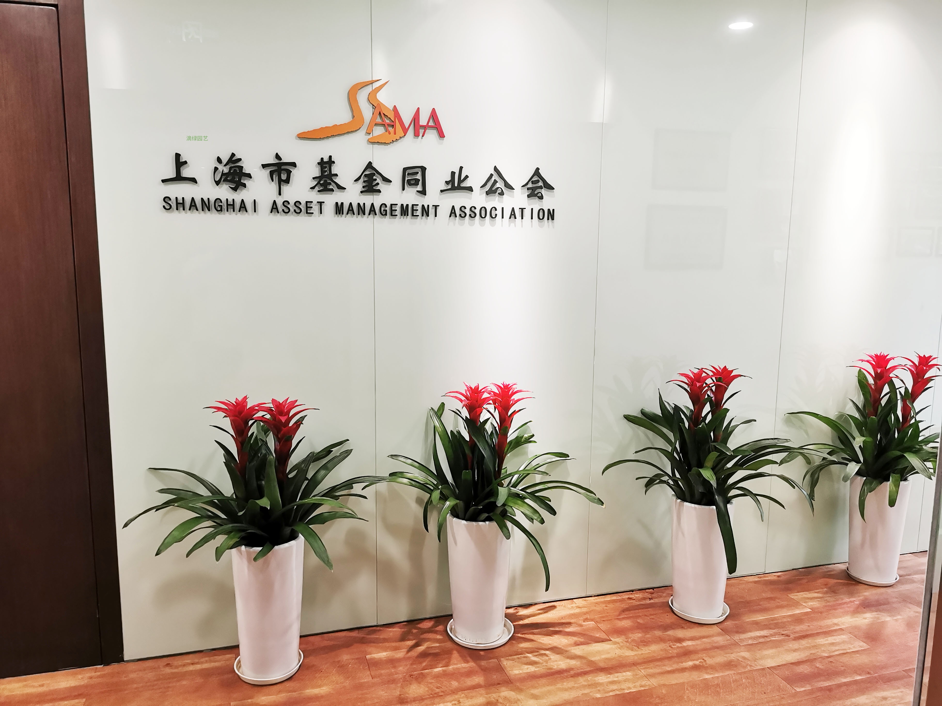 上海市基金同业公会绿植