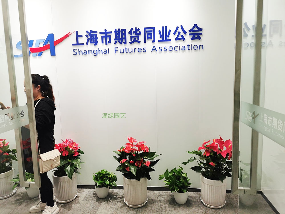 上海市期货同业公会绿植租摆