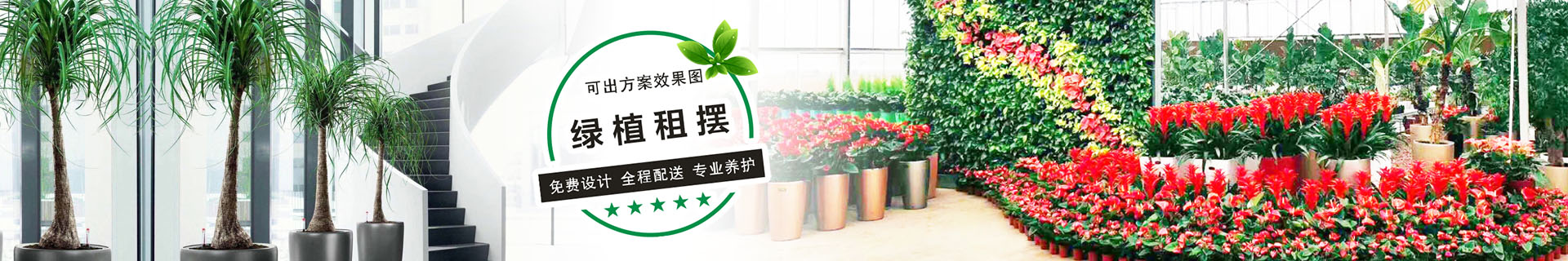 滴绿绿植租摆