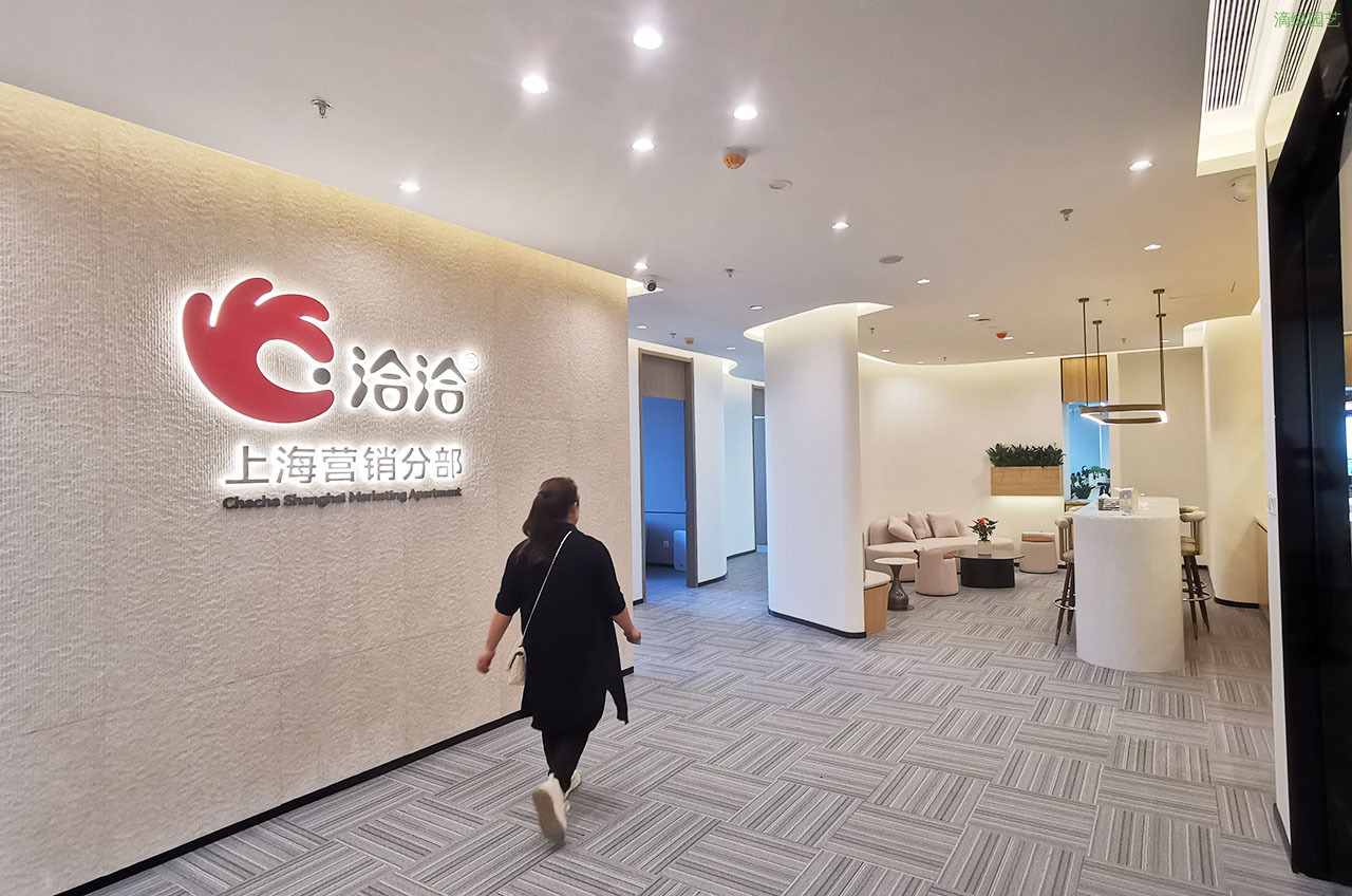 洽洽食品上海营销中心绿植