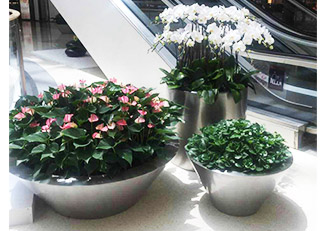 浦东陆家嘴绿植租赁