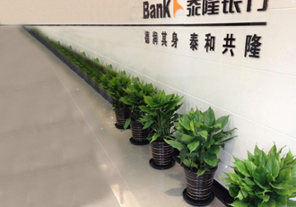 泰隆银行绿植租摆