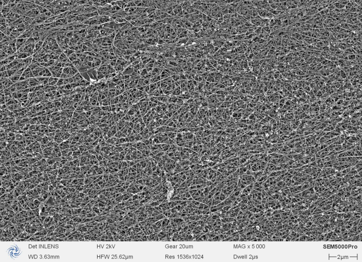 碳纳米管屏蔽薄膜