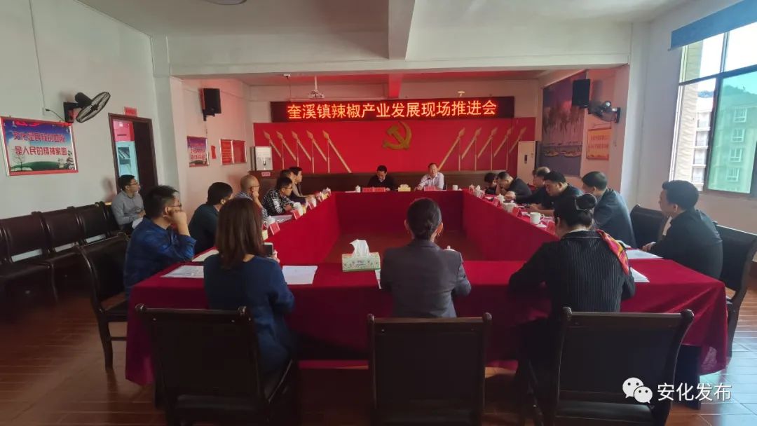 奎溪鎮(zhèn)：整合資源 做大做強(qiáng)辣椒產(chǎn)業(yè)