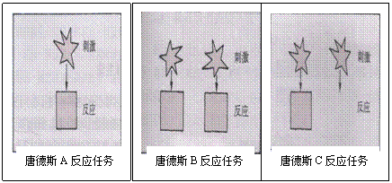 唐德斯三成分说