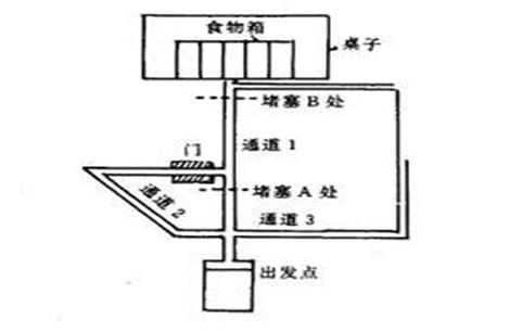 “白鼠走迷宫”