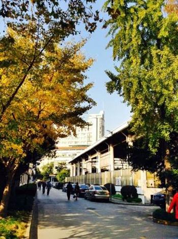 华大应用心理研究院 华东师大