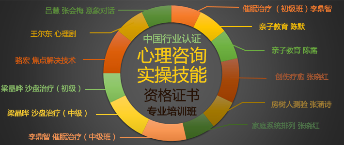 心理咨询实操技能