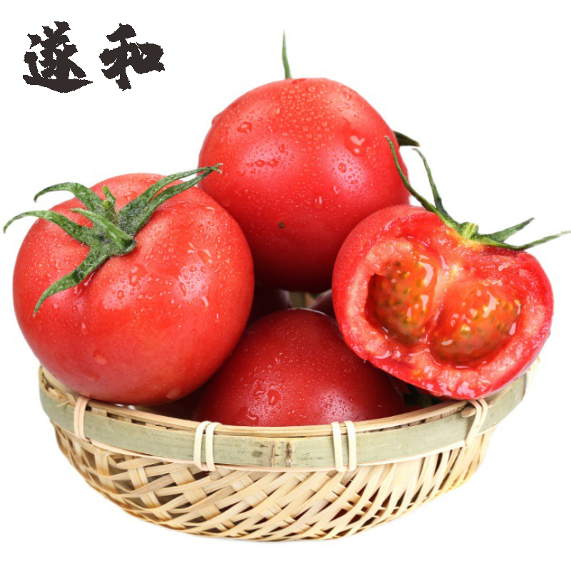 遂和普罗旺斯西红自然熟现摘新鲜番茄