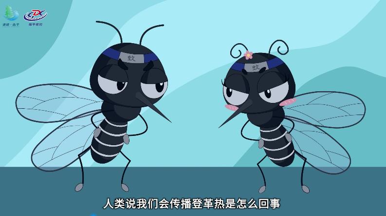 疾病预防——登革热
