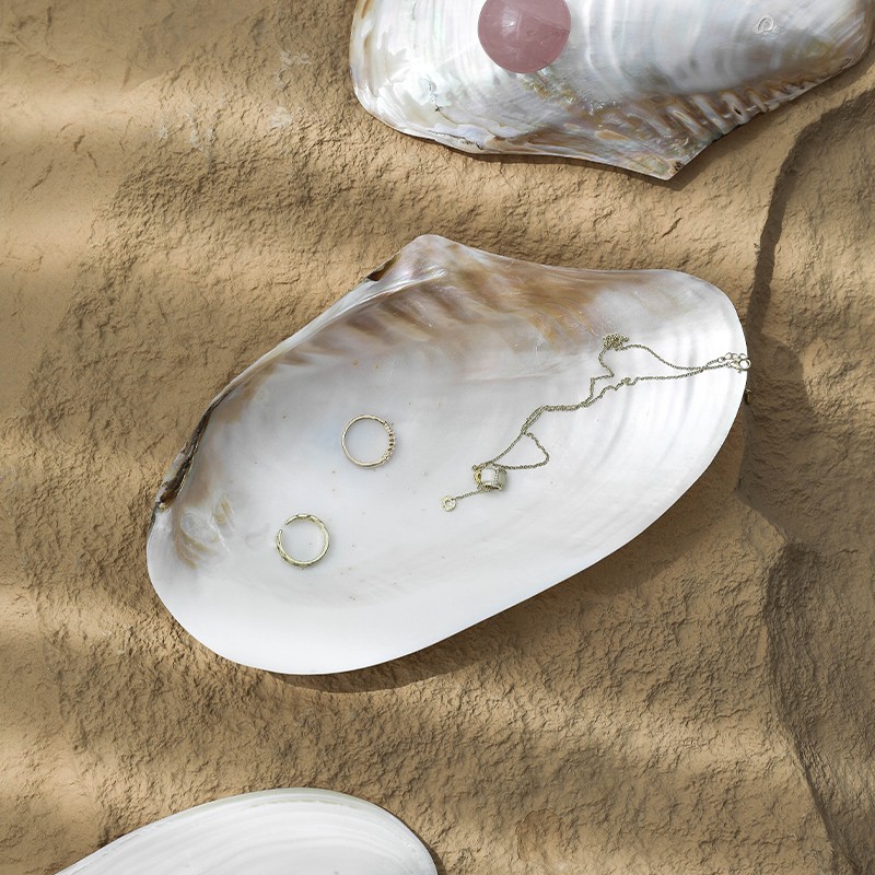 Shell jade decorative storage tray