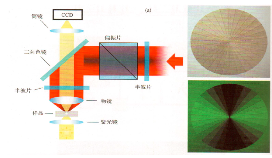 幻彩的动态聚焦技术的原理模型