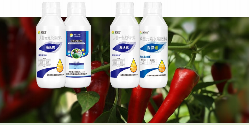 辣椒增产方案