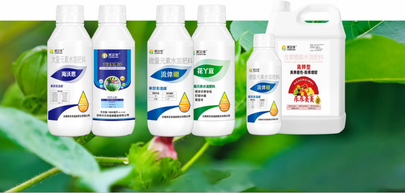 棉花增产方案