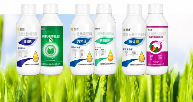 小麦增产方案