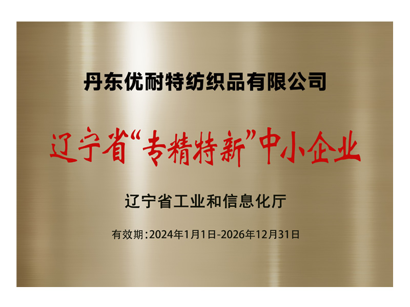 2024专精特新中小企业