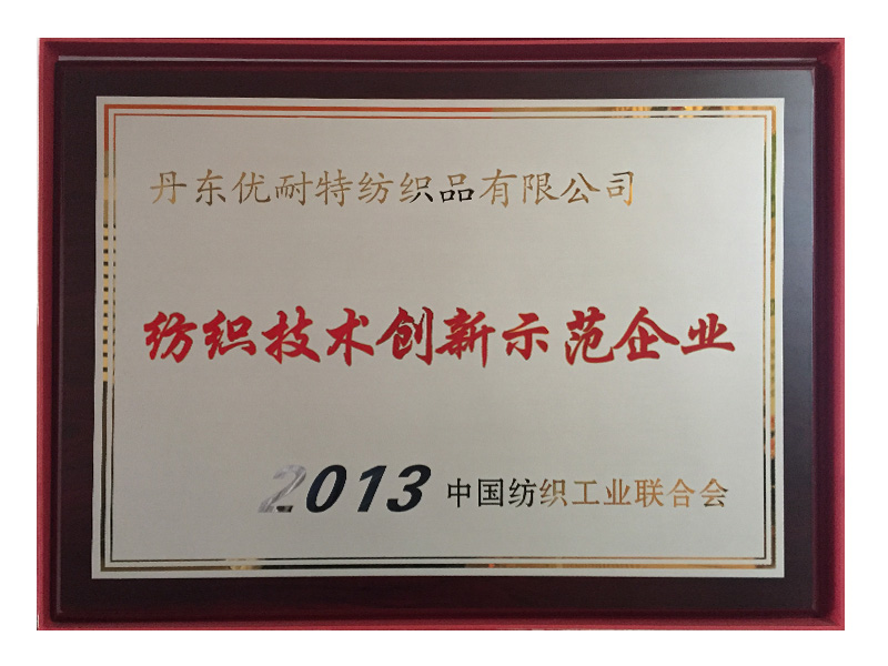 2013纺织技术创新示范