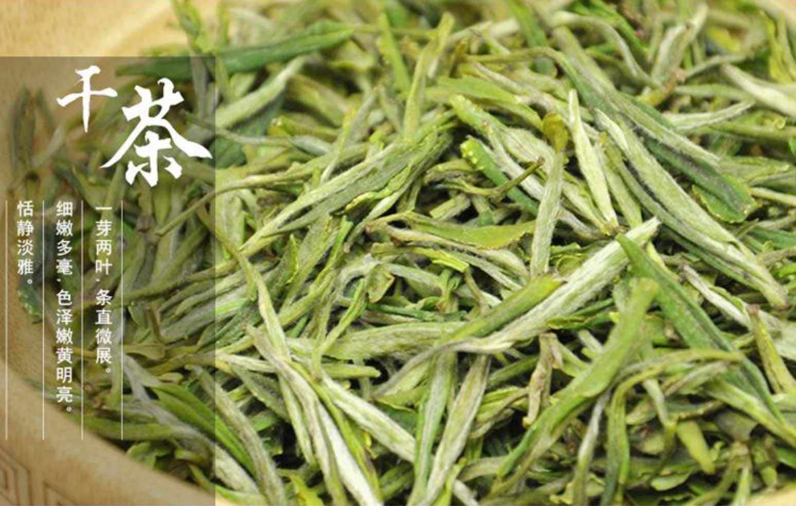 一级霍山黄芽