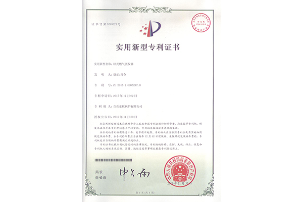 臥式燃?xì)庹舭l(fā)器
