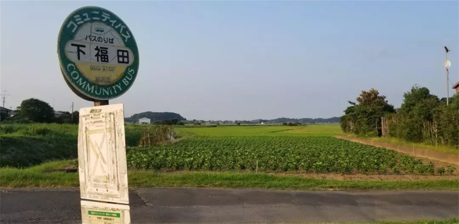 2019年夏神武馆修行回顾