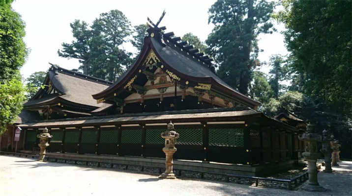 2018年夏心武馆赴日修行回顾