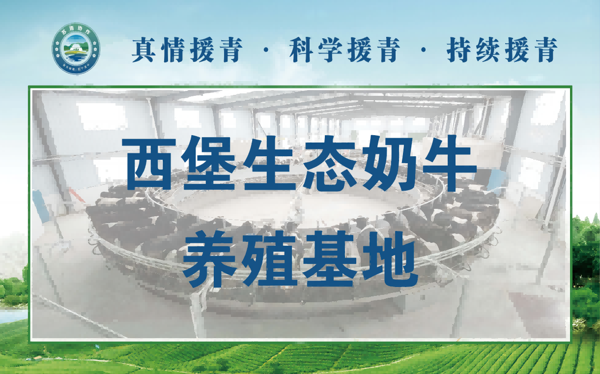 湟中区西堡镇生态奶牛养殖建设项目