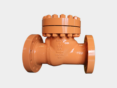 Full-Opening Swing Check Valve