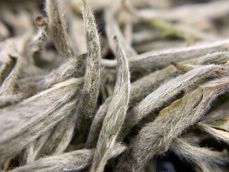 银奖白毫银针