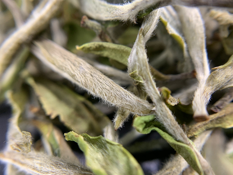 荒野牡丹王