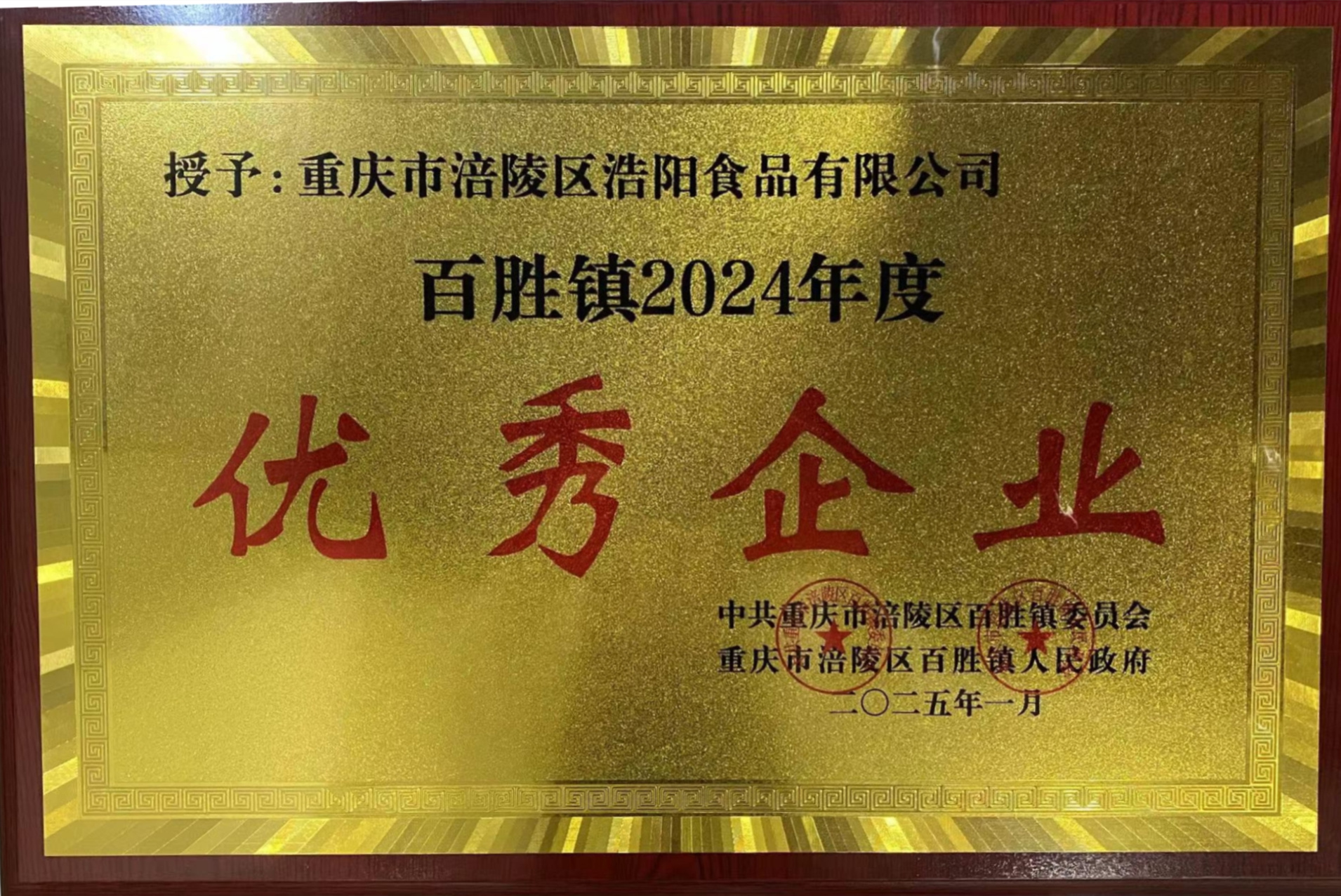 2024年度优秀企业