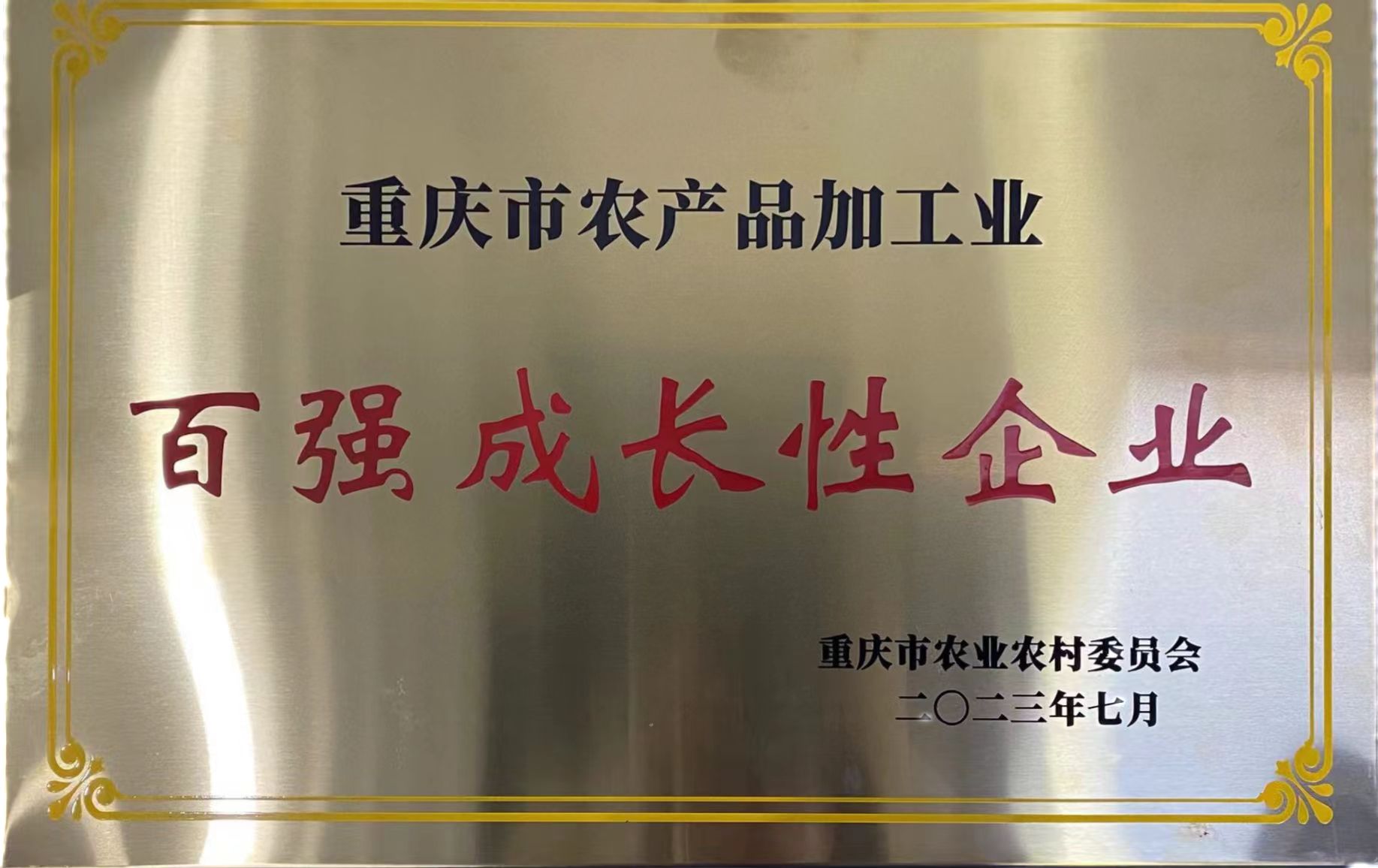 百强成长性企业