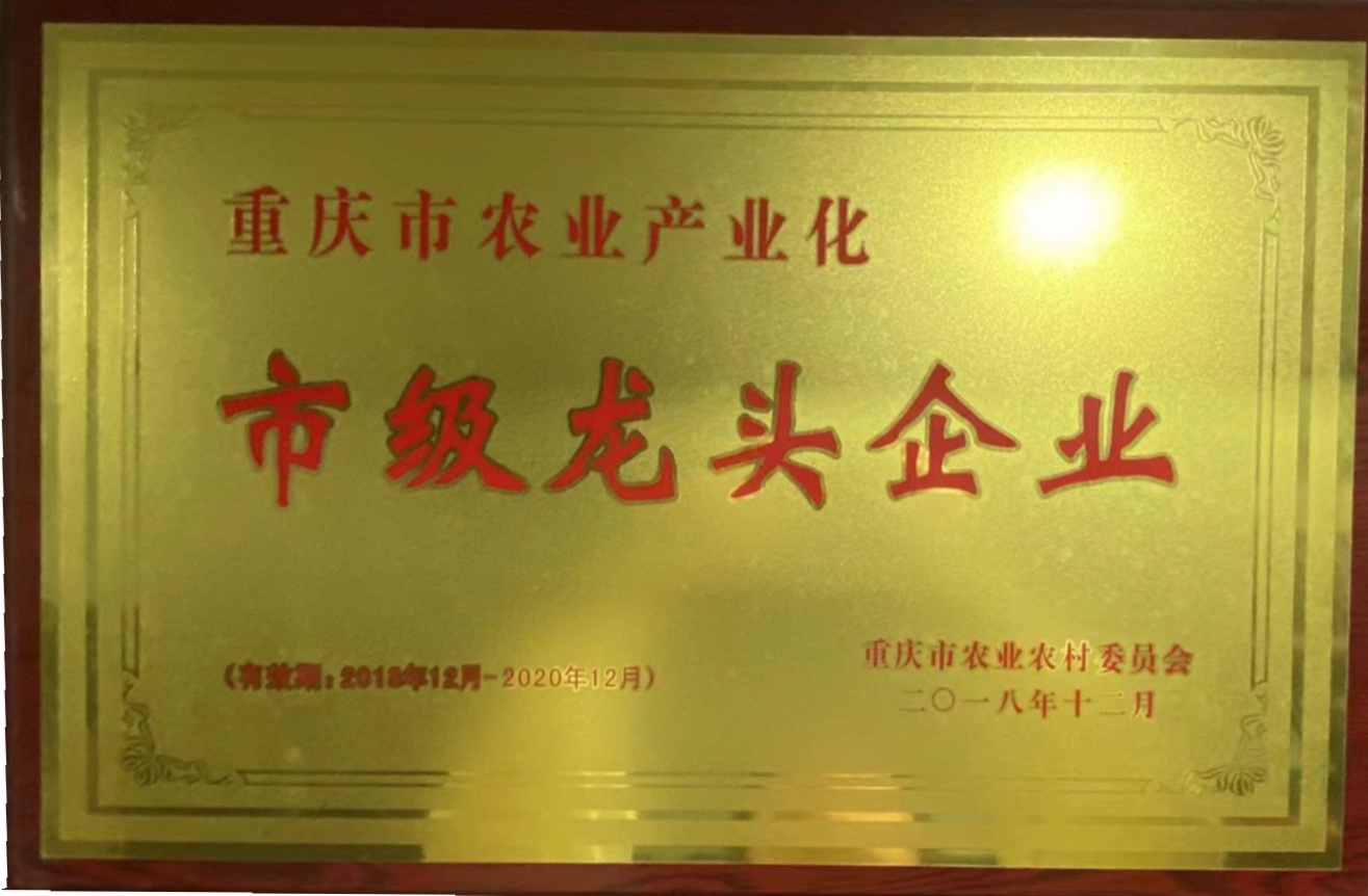 市级龙头企业
