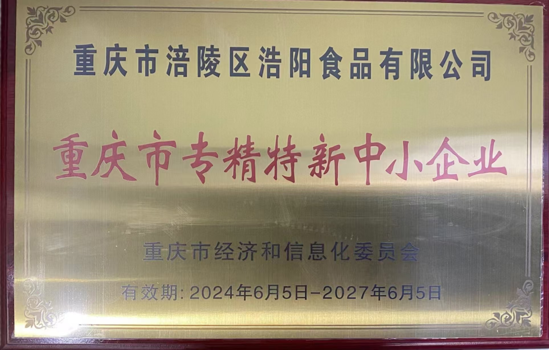 重庆市专精特新中小企业