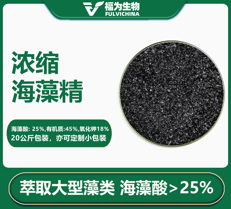 浓缩海藻精