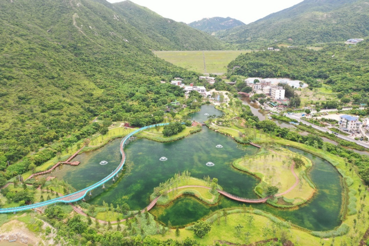 深圳东涌红树林湿地公园