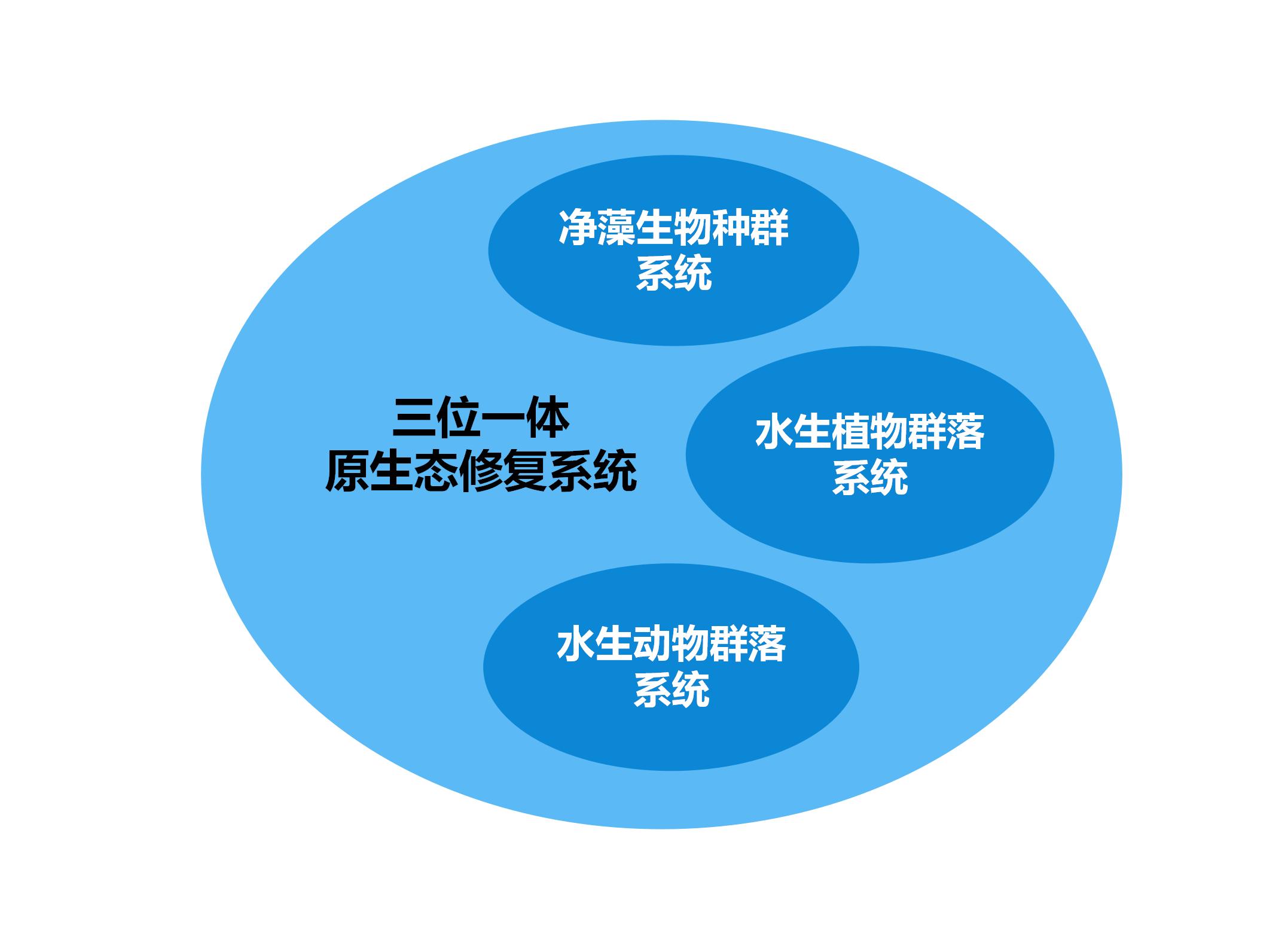 三位一体原生态修复系统