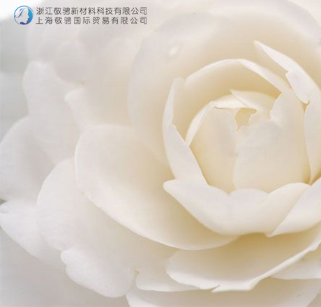 白椿